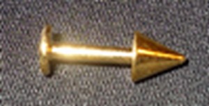 Piercing labret Plaque Or