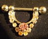 Piercing Téton